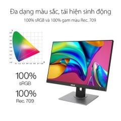 Màn hình ASUS ProArt PA248QV 24 inch IPS 75Hz Chuyên Đồ Họa