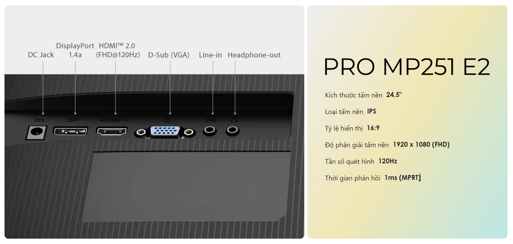 Màn hình MSI PRO MP251 E2 24.5 inch FHD IPS 120Hz 1ms (HDMI, Display Port, D-Sub)