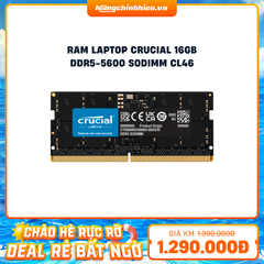Ram Crucial DDR5 16GB Bus 5600MHz CL40 CT16G56C46S5