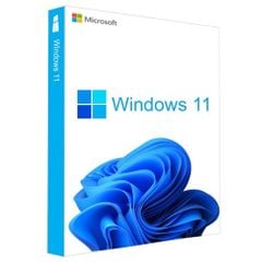 Phần mềm Windows 11 Pro 64Bit Eng Intl 1pk DSP OEI DVD (FQC-10528)