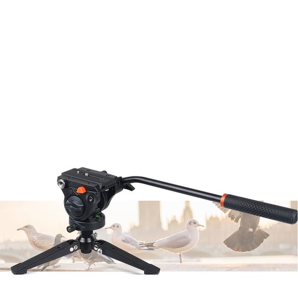 Củ Chân đơn Gizomos V-B32A5