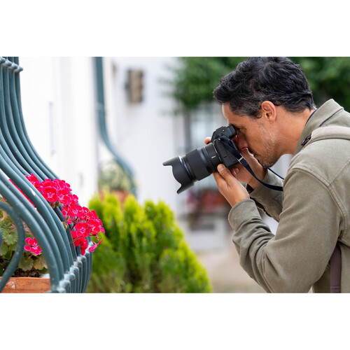 Nikon NIKKOR Z 50mm F1.4 - Lấy nét tự động trên Nikon NIKKOR Z 50mm F1.4