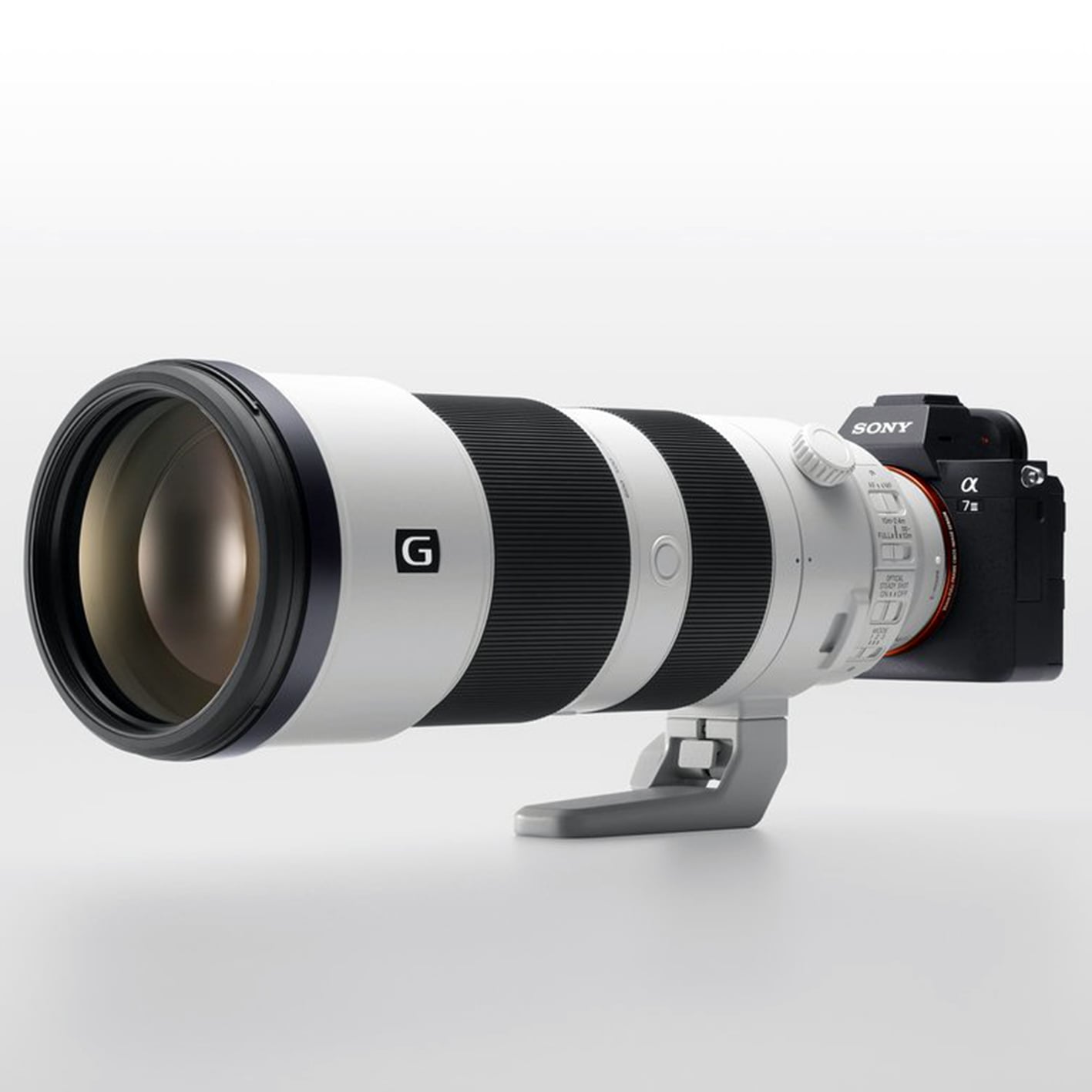 Sony FE 200-600mm F5.6-6.3 G OSS - Lấy nét tự động trên Sony FE 200-600mm F5.6-6.3 G OSS