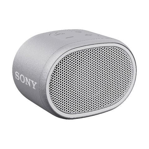 Loa di động bluetooth Sony SRS- XB01 (Ghi xám)