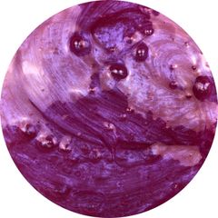 Chiếc đầm của Ursula