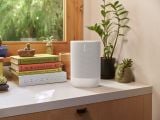  Loa di động sonos move 2 