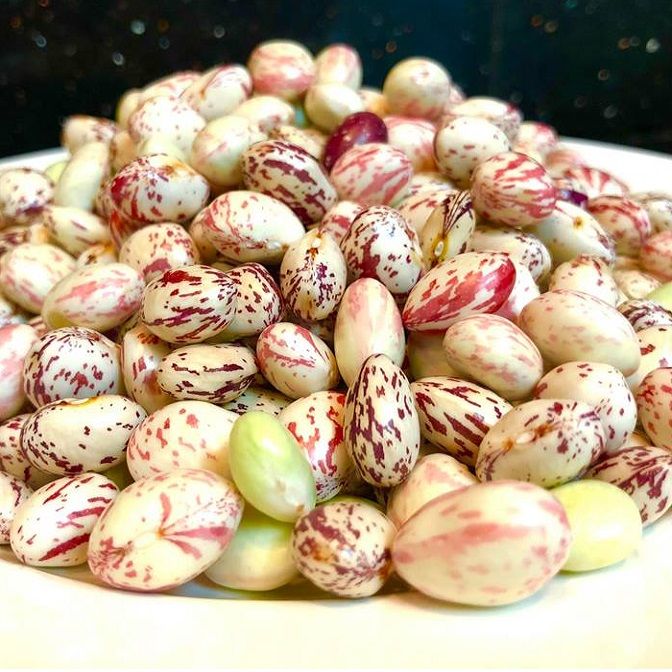 Hạt giống đậu trứng rồng – hfseeds