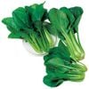 GÓI 2 GRAM HẠT GIỐNG CẢI NGỌT NHẬT BẢN