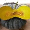 GÓI 10 HẠT GIỐNG BÍ NGÔ DA CÓC VÀNG NGHỆ