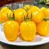GÓI 5 HẠT GIỐNG CÀ CHUA CHERRY DÂU SIÊU NGỌT