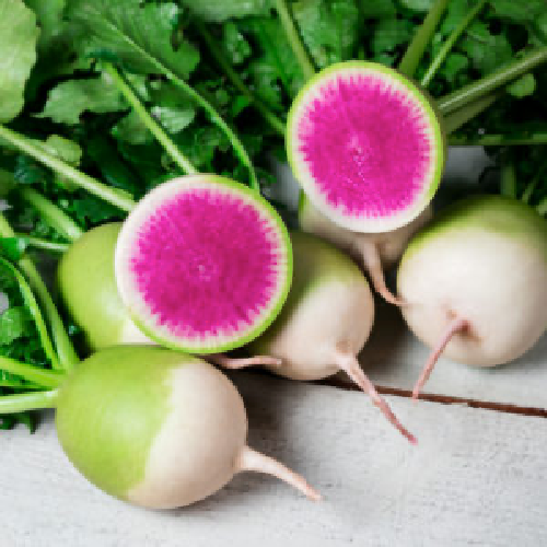 GÓI 300 HẠT GIỐNG CỦ CẢI ĐƯỜNG TRÒN RUỘT ĐỎ