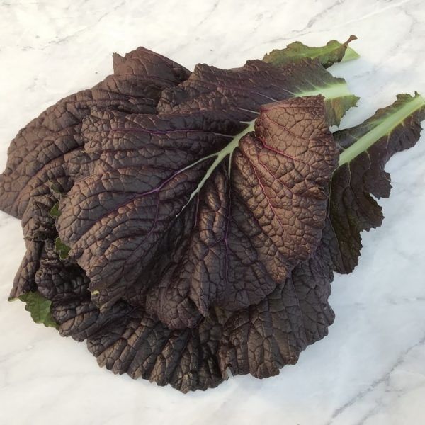 GÓI 300 HẠT GIỐNG CẢI MÙ TẠT TÍM NHẬT BẢN