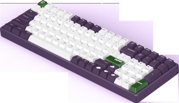 Bàn phím Cơ IQUNIX F96 Joker LED