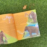 Sách: Trọn Bộ Bách Khoa Động Vật Dành Cho Trẻ Nhỏ (Thú Cưng + Côn Trùng + Khủng Long + Động Vật Tiền Sử)