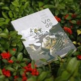 Sách: Vỡ Đê - Vũ Trọng Phụng (Tái Bản)