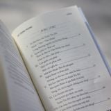 Sách: Tiểu Thuyết Số Đỏ - Vũ Trọng Phụng (Tái Bản)