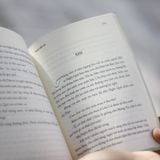Sách: Tiểu Thuyết Tắt Đèn - Ngô Tất Tố (Tái Bản)