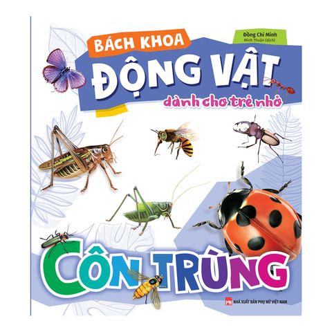  Sách: Bách Khoa Động Vật Dành Cho Trẻ Nhỏ - Côn Trùng 