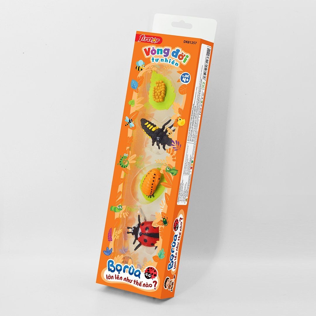 Đồ Chơi DUKA: Vòng Đời Tự Nhiên - Bọ Rùa Lớn Lên Như Thế Nào? - DK81257