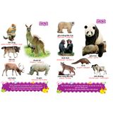 Sách: Từ Điển Tranh Về Các Con Vật - Bìa Mềm (Tái Bản)
