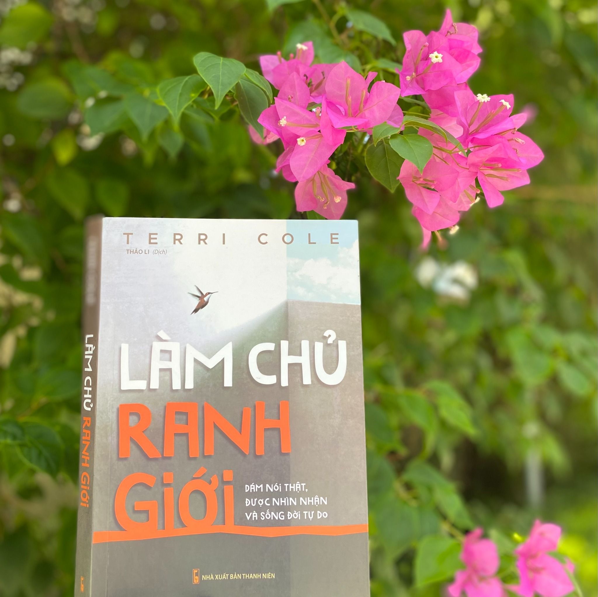 Sách: Làm Chủ Ranh Giới - Dám Nói Thật, Được Nhìn Nhận Và Sống Đời Tự Do