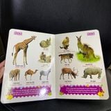 Sách: Combo Từ Điển Tranh Về Rau - Củ - Quả - Hoa + Từ Điển Tranh Về Các Con Vật (Bìa Cứng)