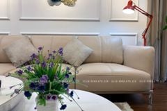 Bộ sofa phòng khách  mã VD-016