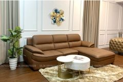 Sofa phòng khách