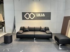Sofa bắc âu màu đen