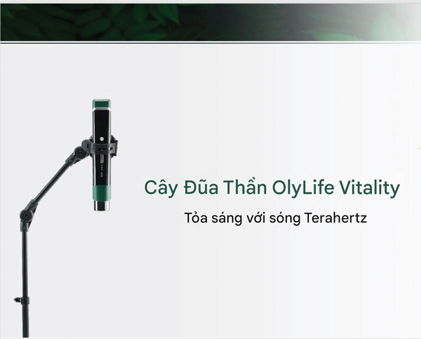 OlyLife Vitality Wand – Thiết bị sóng Terahertz hỗ trợ chăm sóc sức khỏe toàn diện 