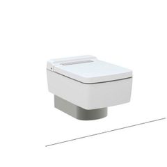 Bàn cầu treo tường RENESSE CW512YR 7EE0007 TC501CVK