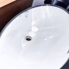 Chậu rửa âm bàn LW1506V/TL516GV