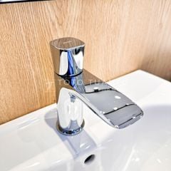 Vòi chậu nước lạnh TLG04101B
