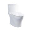 Bàn cầu một khối MS889DRT8#XW