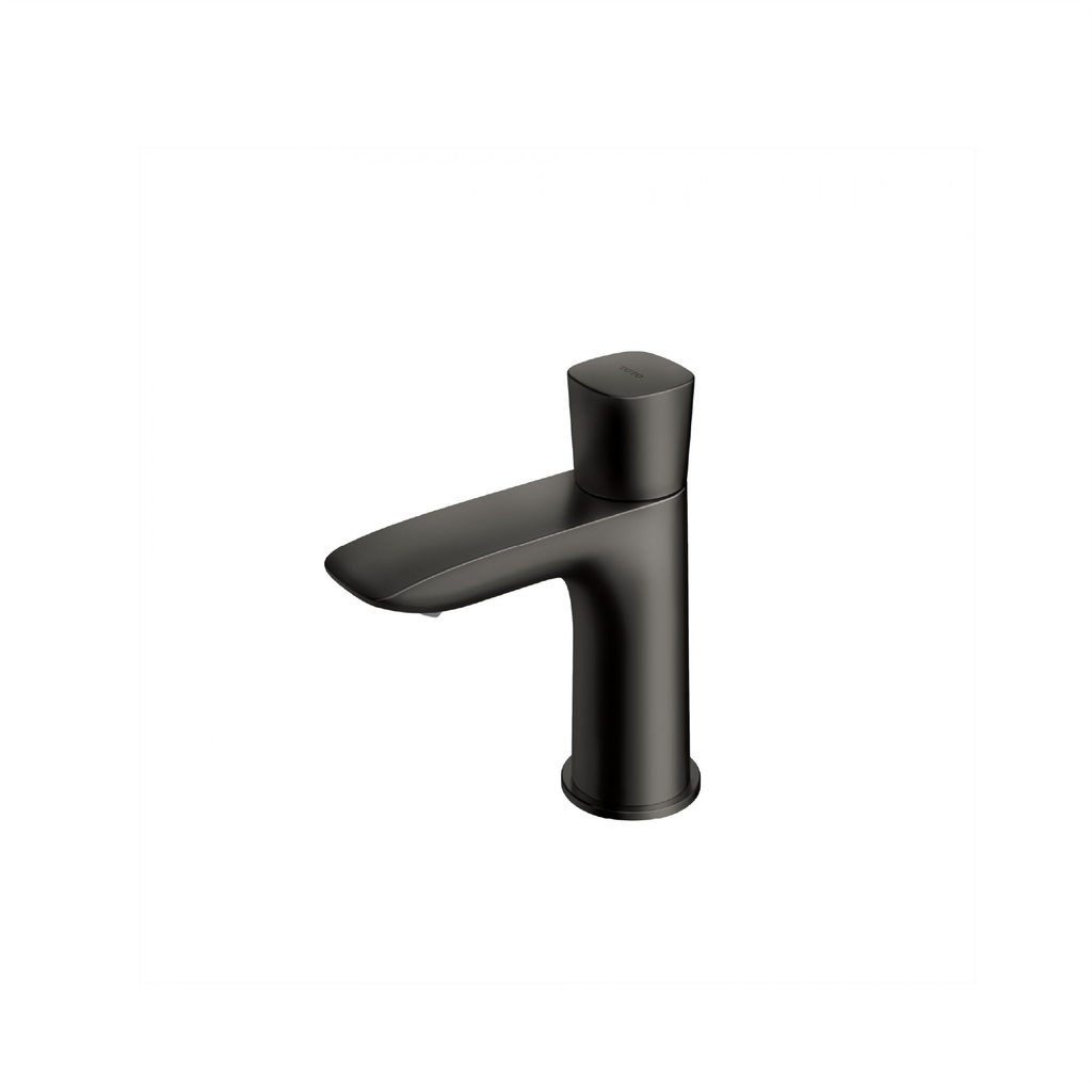 Vòi chậu nước lạnh TLG04101B