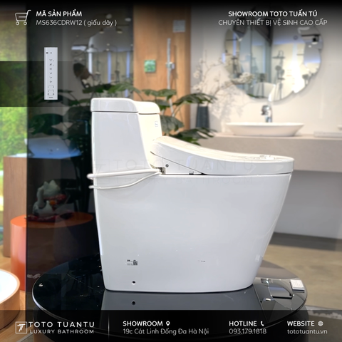 Bồn cầu nắp rửa điện tử MS636CDRW12 nắp Washlet TCF4911EZ