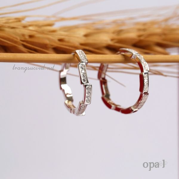  Bộ sưu tập hoa tai chấu bấm 