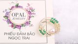  BST Cài Áo đính Ngọc Trai - quà tặng ý nghĩa và đẳng cấp từ thương hiệu opal 