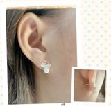  Hoa tai Ngọc Trai Opal 