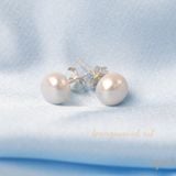  Hoa tai nụ ngọc trai tự nhiên phong cách truyền thống trẻ trung thương hiệu Opal 