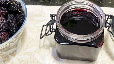 Cách làm nước ép dâu tằm chua ngọt tươi mát giải nhiệt cơ thể