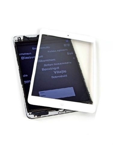 Màn Hình iPad Mini 2 A1491 Wifi Cellular (Td-Lte) iPad2
