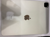 Máy tính bảng iPad Pro 11 2021 Wifi 256GB Silver
