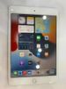 Máy tính bảng iPad mini 7.9 inch Wifi 64GB (2019)