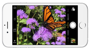 Hướng dẫn tắt âm chụp ảnh iPhone xách tay Nhật và Hàn Quốc