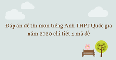  Đáp án đề thi môn tiếng Anh THPT Quốc gia năm 2020 chi tiết 4 mã đề 