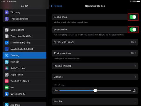 Cách Cài Đặt Tự Động Đọc Văn Bản Trên Ipad Giúp Theo Dõi Dễ Hơn Mà Không Cần Nhìn
