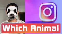 Cách sử dụng filter Which Animal xem bạn là con vật nào trên Instagram 