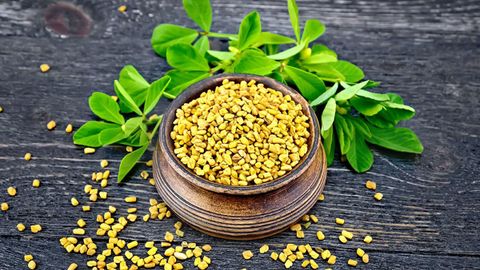Hạt cỏ cà ri - fenugreek seed là gì, mua ở đâu? Tác dụng của cỏ cà ri