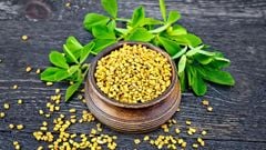  Hạt cỏ cà ri - fenugreek seed là gì, mua ở đâu? Tác dụng của cỏ cà ri 